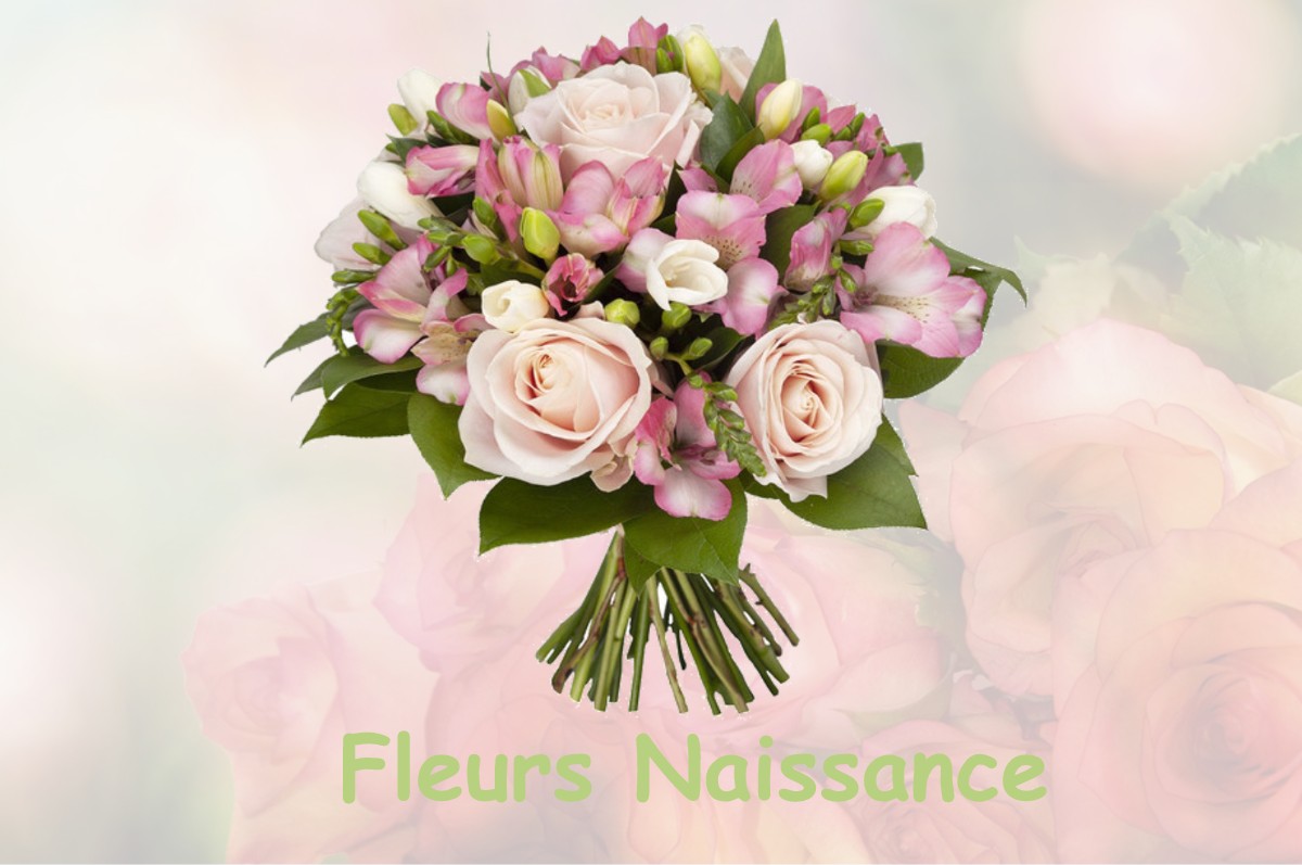 fleurs naissance LE-PLESSIS-BOUCHARD