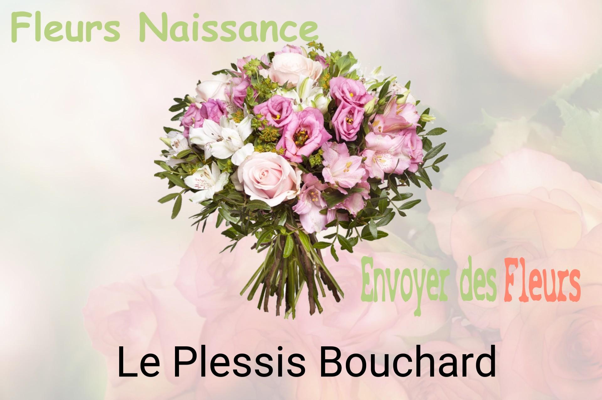 Bouquet de fleurs de naissance livré à Le Plessis-Bouchard